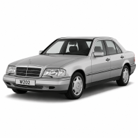W202