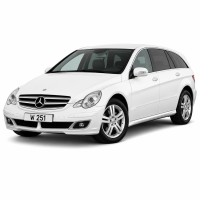 W251