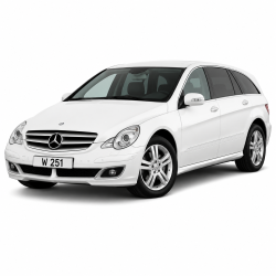 Запчастини для  R-Class  в кузові W251