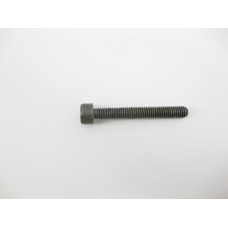 N000000004098 Болт T40 торкс M6 x 45 mm
