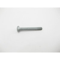 N000000001155 Болт с головкой T45 торкс M8 x 60 mm