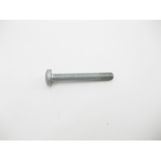 N000000001155 Болт с головкой T45 торкс M8 x 60 mm