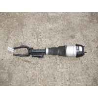 A1663205566 Пневматическая стойка передняя левая GL X166