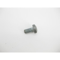 N000000001434 Болт с головкой T50 или E14 торкс M10 x 20 mm
