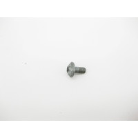 N000000001475 Болт с головкой T30 торкс M6 x 12 mm