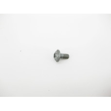 N000000001475 Болт с головкой T30 торкс M6 x 12 mm
