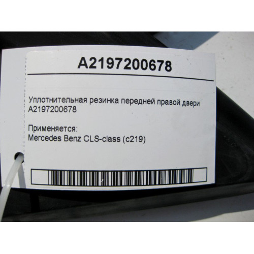 Mercedes-Benz A2197200678 Уплотнительная резинка передней правой двери CLS C219