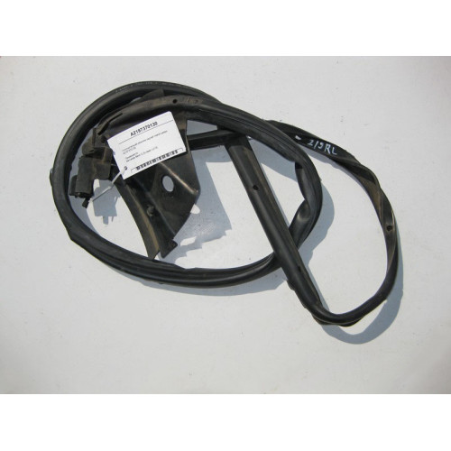 Mercedes-Benz A2197370130 Уплотнительная резинка задней левой двери CLS C219