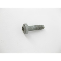 N000000002770 Болт с головкой T30 торкс M6 x 23 mm