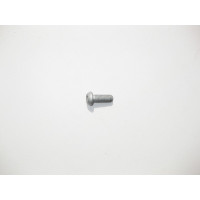 A2109840929 Torx Head Bolt T40 Luggage Carrier Eyelet M8 x 22mm