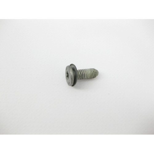 BMW 51218222386 Болт с головкой T25 торкс M6 x 17 mm с шайбой BMW 5-series E39