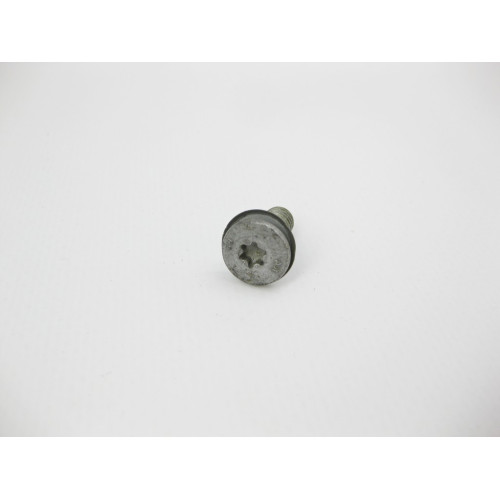 BMW 51218222386 Болт с головкой T25 торкс M6 x 17 mm с шайбой BMW 5-series E39