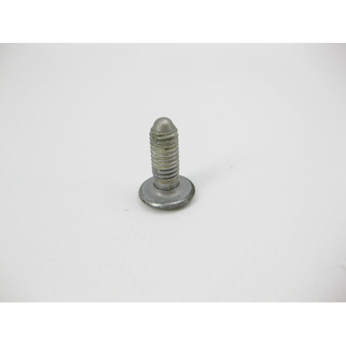 BMW 51218222386 Болт с головкой T25 торкс M6 x 17 mm с шайбой BMW 5-series E39