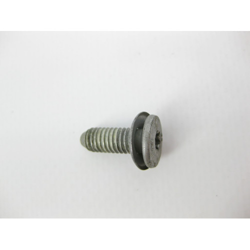 BMW 51218222386 Болт с головкой T25 торкс M6 x 17 mm с шайбой BMW 5-series E39