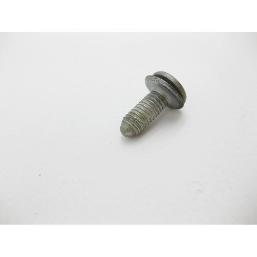 BMW 51218222386 Болт с головкой T25 торкс M6 x 17 mm с шайбой BMW 5-series E39