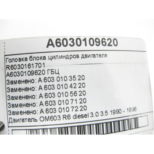 Mercedes-Benz A6030109620 R6030161701 Головка блока цилиндров двигателя OM603