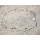A1664206526 Brake pipe from the ABS unit to the rear left wheel GL/GLS X166