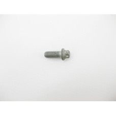 N910142006001 Болт с головкой E8 торкс M6 x 16 mm