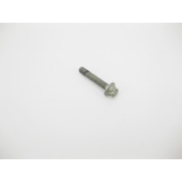 N910143008006 Болт с головкой E12 торкс M8 x 45 mm