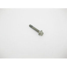 N910143008006 Болт с головкой E12 торкс M8 x 45 mm