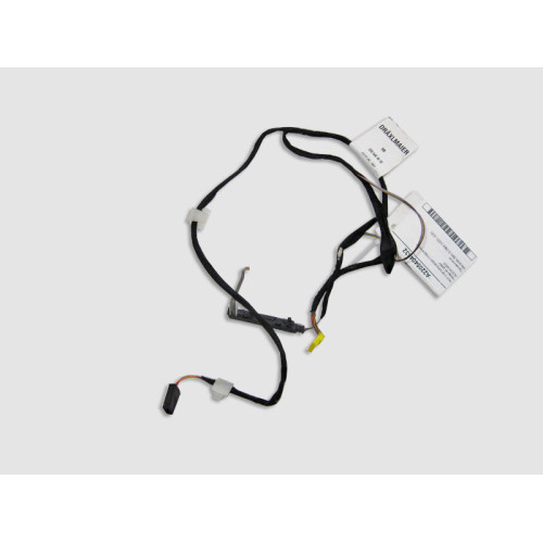 Mercedes-Benz A2205404632 Жгут электропроводки плафонов передней двери S-Class W220