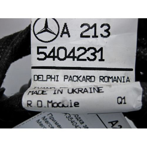 Mercedes-Benz A2135404231 Электропроводка задней двери E-Class W213