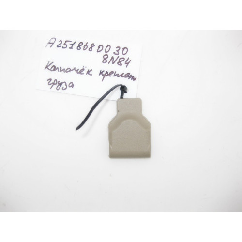 Mercedes-Benz A2518680030 8N84 Колпачок петли крепления груза бежевый ML GLE GL GLS