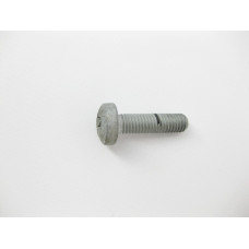 N000000004321 Болт с головкой T45 торкс M8 x 30 mm