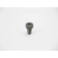 A1709900120 Болт с головкой T30 торкс M6 x 12 mm