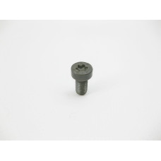 A1709900120 Болт с головкой T30 торкс M6 x 12 mm