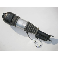A2193201113 Pneumatic strut front left CLS C219