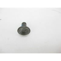 N000000002242 Болт кріплення механізму люка зсувного панорами М5 x 10 mm