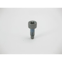 A0109904904 T55 torx head bolt M10 x 34 mm torque converter mounting