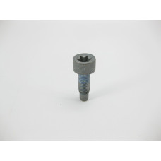 A0109904904 Болт с головкой T55 торкс M10 x 34 mm крепление гидротрансформатора