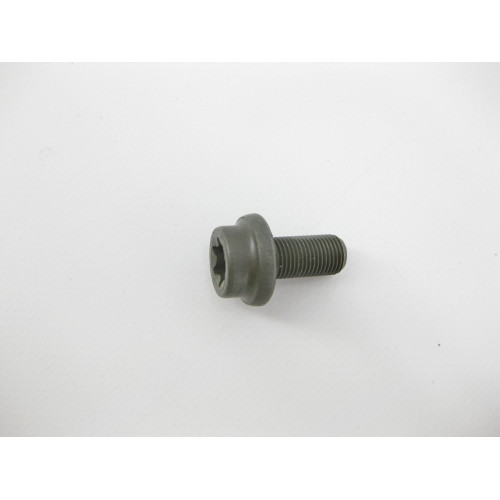 Mercedes-Benz A0109907504 Болт с головкой T55 торкс M10 x 1 x 20 mm крепление маховика