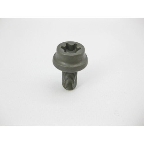 Mercedes-Benz A0109907504 Болт с головкой T55 торкс M10 x 1 x 20 mm крепление маховика