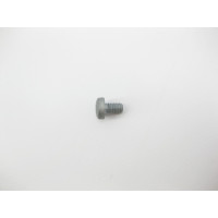 N000000001144 Болт з головкою T30 торкс M6 x 10 mm