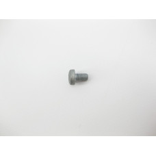 N000000001144 Болт с головкой T30 торкс M6 x 10 mm