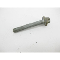 N910143008017 Болт з головкою E12 торкс M8 x 55 mm