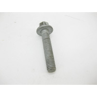 N910143008005 Болт с головкой E12 торкс M8 x 40 mm