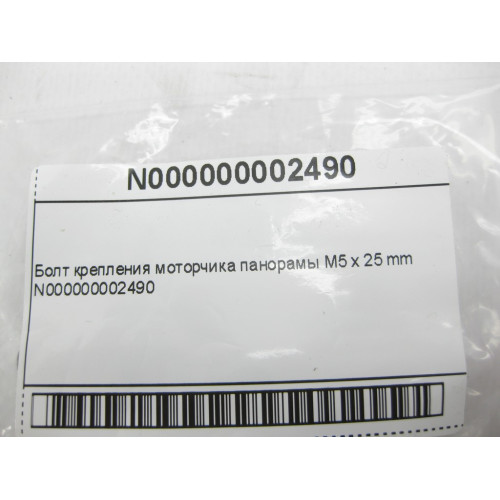 Mercedes-Benz N000000002490 Болт с головкой Торкс T25 и резьбой M5 x 25 mm крепления моторчика панорамы